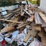 free firewood Image 5