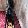Vintage rocking horse Image 3