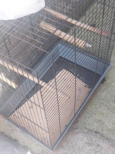 bird cage