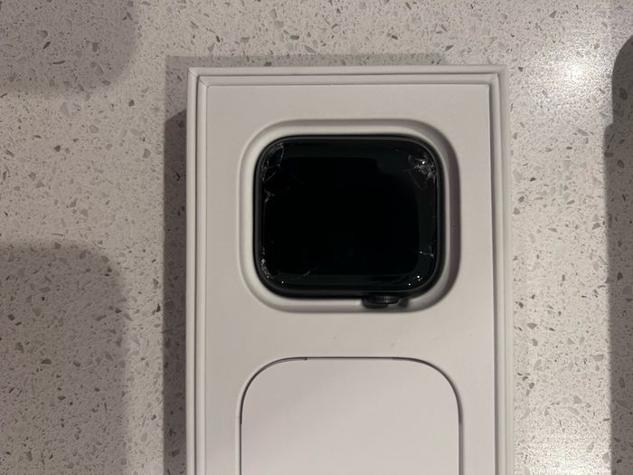 Apple Watch SE 1st Gen
