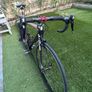 Bottecchia supernova SP9 Team Race bike Image 3