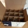 11 champagne glasses 145ml Image 2