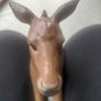 Beswick Donkey Image 4