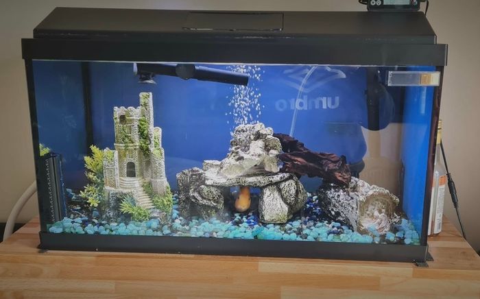 Aqua Dreams 60 | fish tank