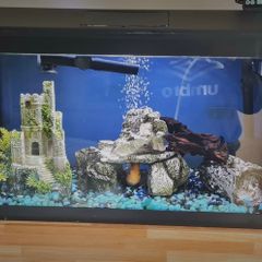 Aqua Dreams 60 | fish tank