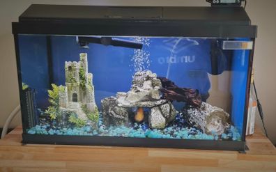 Aqua Dreams 60 | fish tank