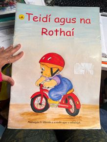 3 large size Irish children's books