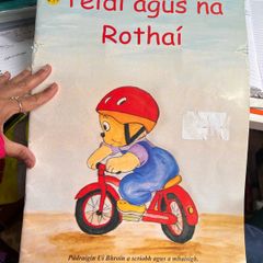 3 large size Irish children's books