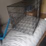 dog kennel Image 2