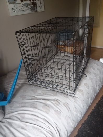dog kennel