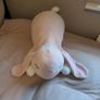 Snuggle Club Plush Image 2
