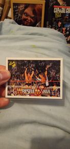 WWE Demolition Smash Signed Card - WWF