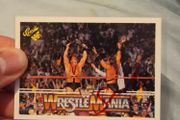 WWE Demolition Smash Signed Card - WWF