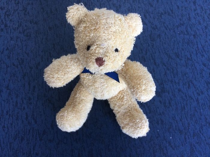 Teddy Bear- OshKosh