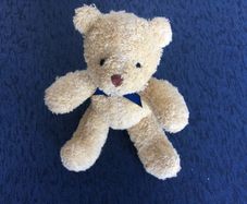 Teddy Bear- OshKosh