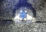 Sapphire Ring