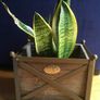 Vintage Style LENE BJERRE Iron Wood Box Planter, Danish Design Image 4