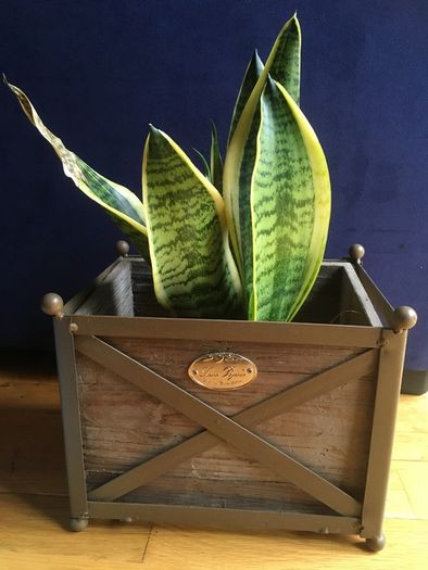 Vintage Style LENE BJERRE Iron Wood Box Planter, Danish Design