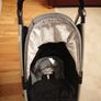 Cosatto Buggy Image 3