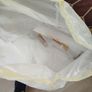 Moving Boxes & Bubble Wrap Image 3