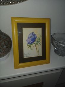 Signed Watercolour of Anemone Flower