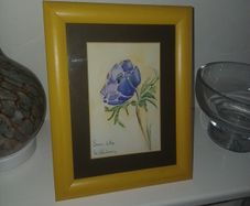 Signed Watercolour of Anemone Flower