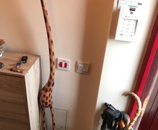Wooden giraffe