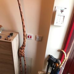 Wooden giraffe