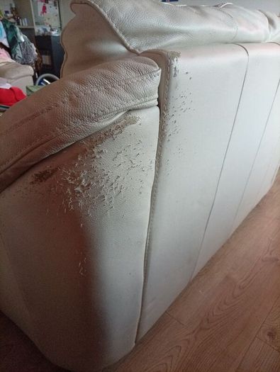 2 cream leather 2 seater sofa s
