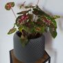 Plant Pot Cover Image 5