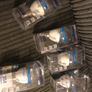 E14  b22 ses dimmable LEDs Image 4