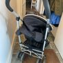 free buggy Image 2