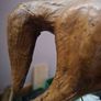 Liberty style Horse Image 4