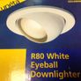 R80 Eyeball Downlighter Image 7