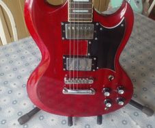 Tanglewood SG