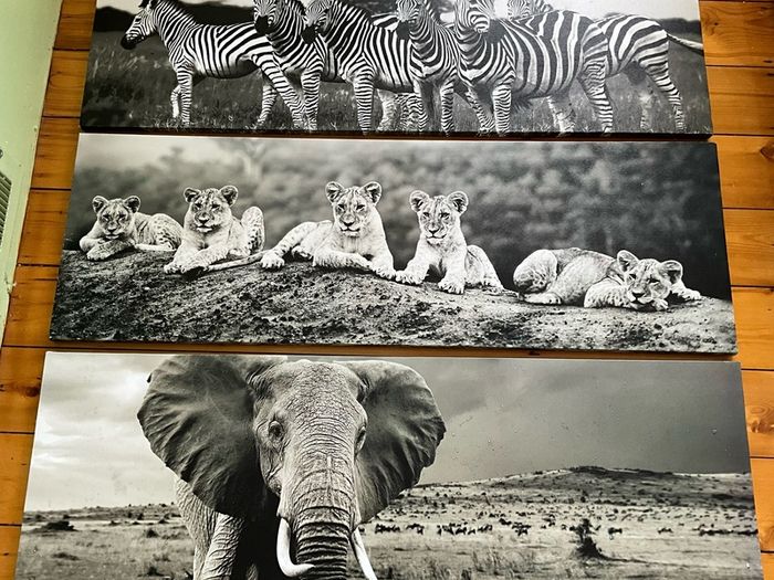 Large Black & White Wall Art Prints. Set of 3