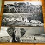 Large Black & White Wall Art Prints. Set of 3 Image 2