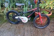 Chipmunk kids bike