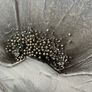wall art Image 4