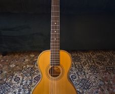 Vintage Viator Paul Brett Travel Guitar