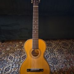 Vintage Viator Paul Brett Travel Guitar