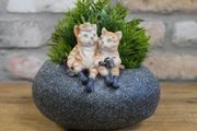 Small Cat Trough D9262