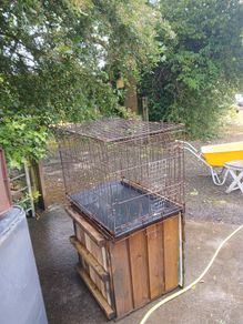 dog cage