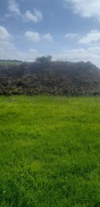 Subsoil free to take away