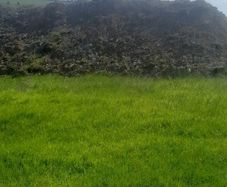 Subsoil free to take away