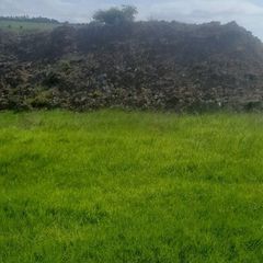 Subsoil free to take away