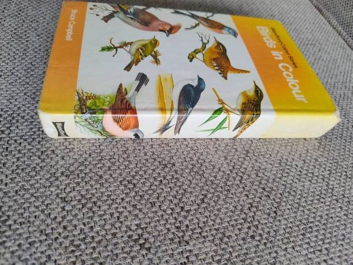 Birds in Colour by Bruce Campbell 1974 hardback with dustcover in good condition with some signs of wear on the dustcover see photos over 200 colour illustrations FREE STANDARD POSTAGE INCLUDED