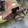free lawnmower Image 2