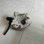 Dinosaur mask Image 2