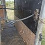 horse box Image 9